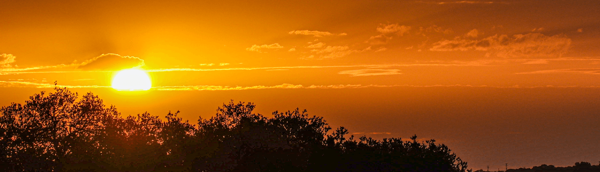 A vivid sunset casts golden hues over silhouetted trees.