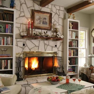 Cozy living room featuring a stone fireplace, bookshelves, and a coffee table with fruit.
