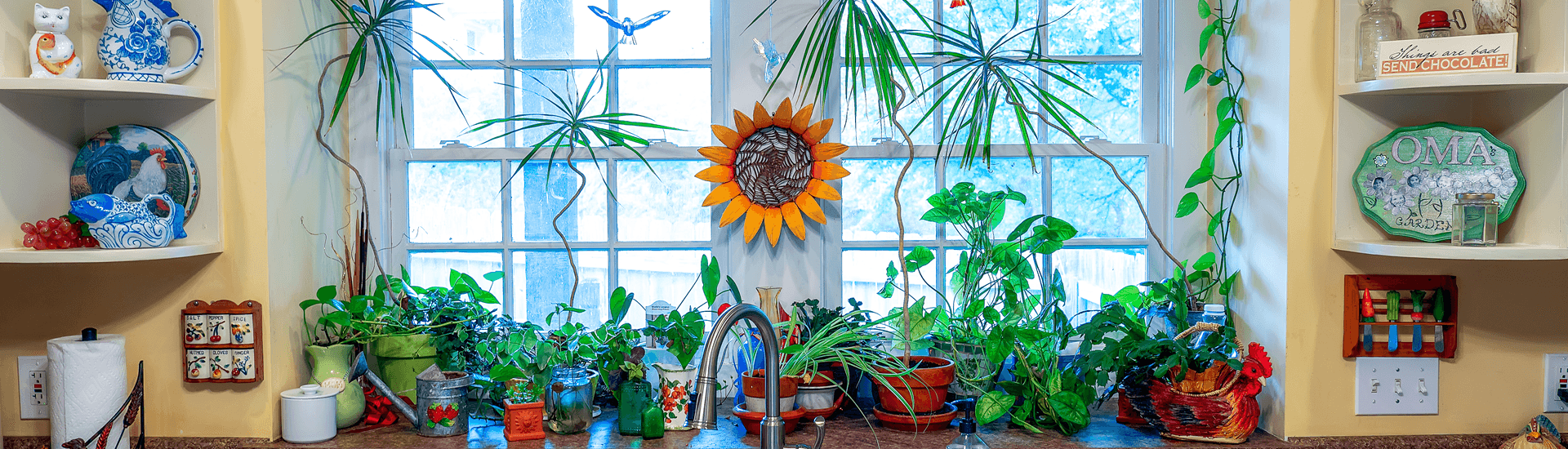 A vibrant kitchen windowsill filled with various potted plants and decorative items.